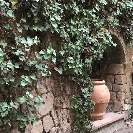 Princess B&B Frascati Εξωτερικό φωτογραφία